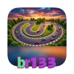 br133